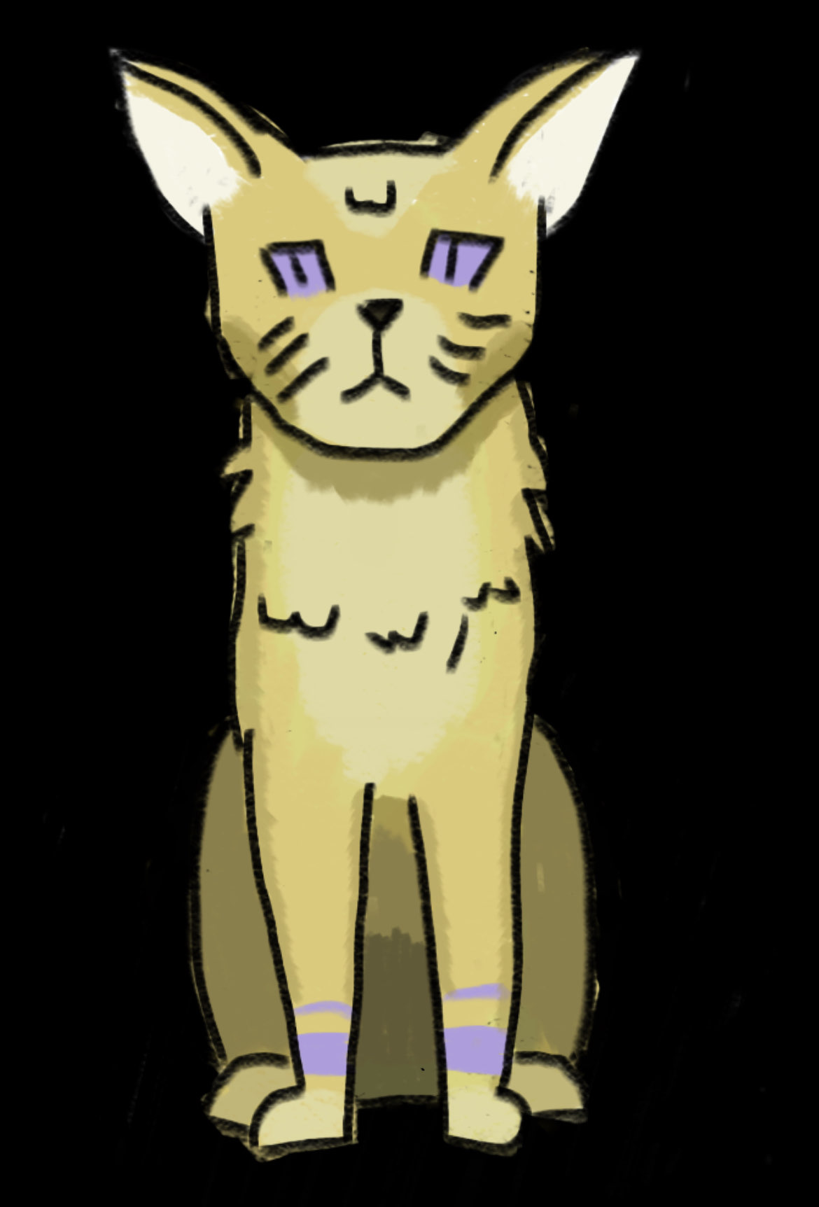 A cool cat