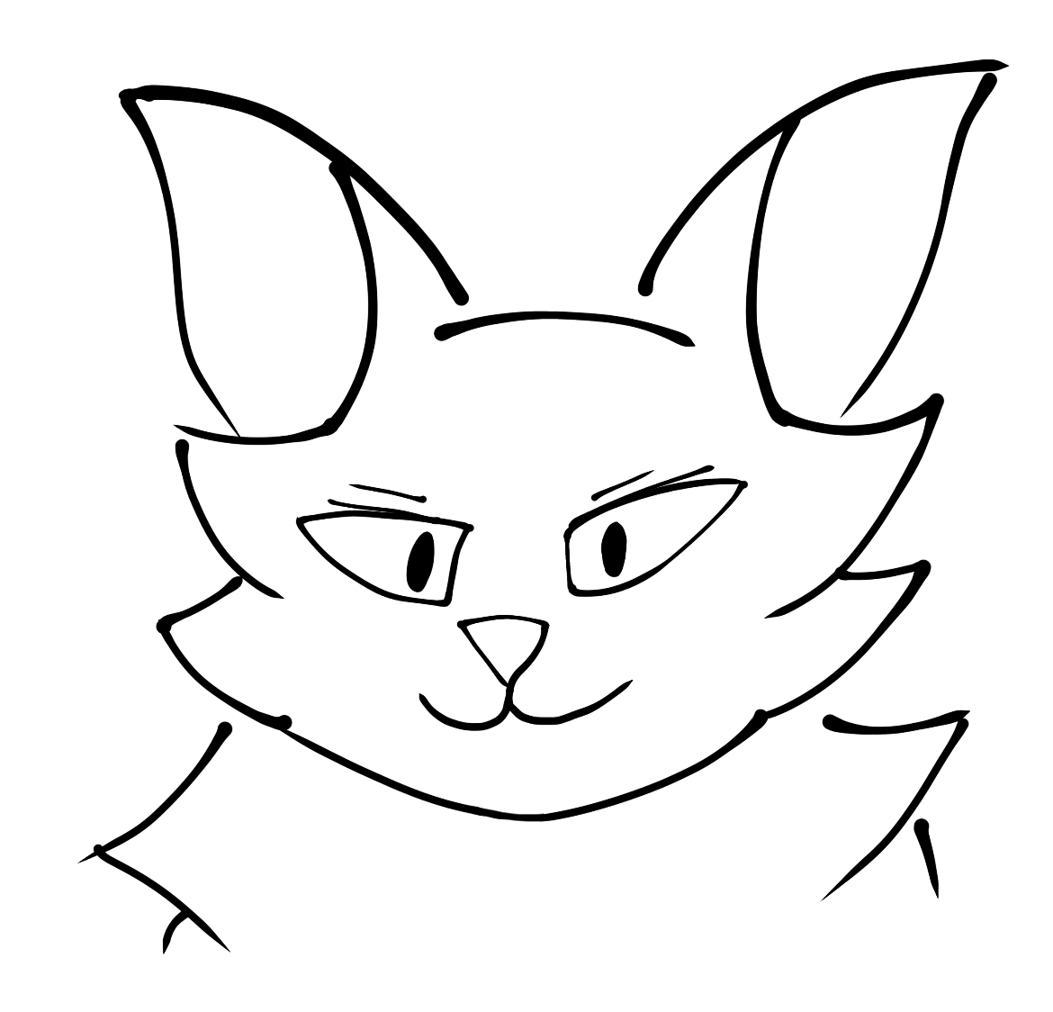 A cool cat