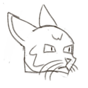 A cool cat